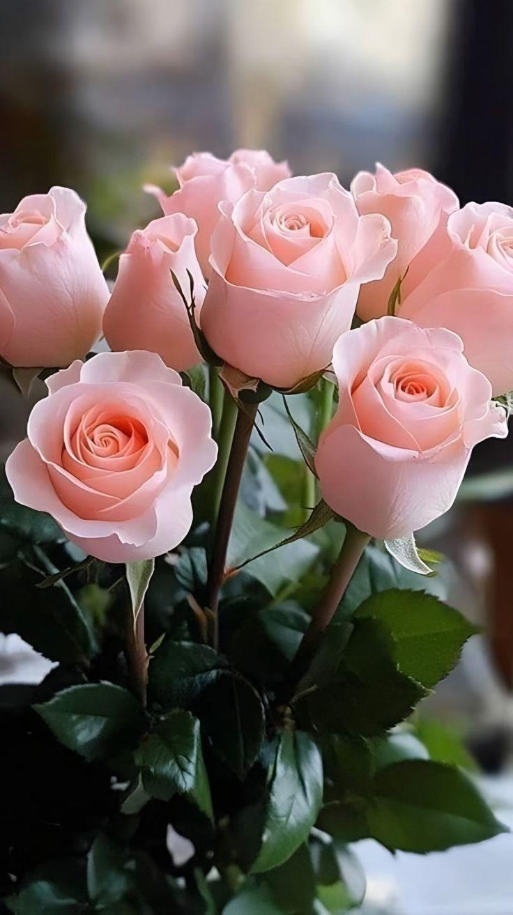 Sunset Serenity Floral Array